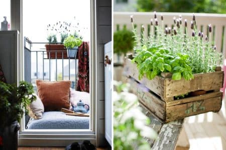Décoration balcon, plantes aromatiques