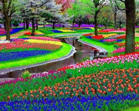 Décoration jardin, fleurs